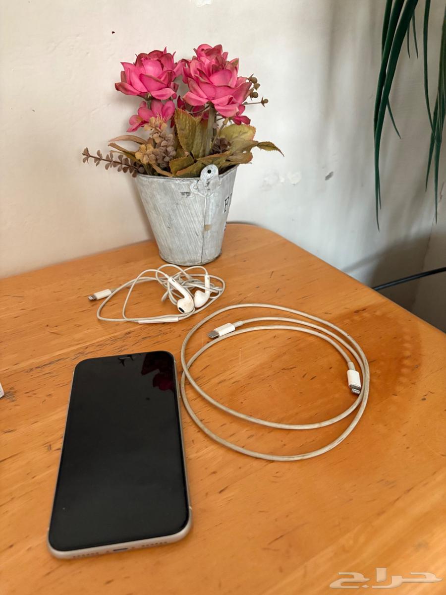 iPhone 1164466558491649112