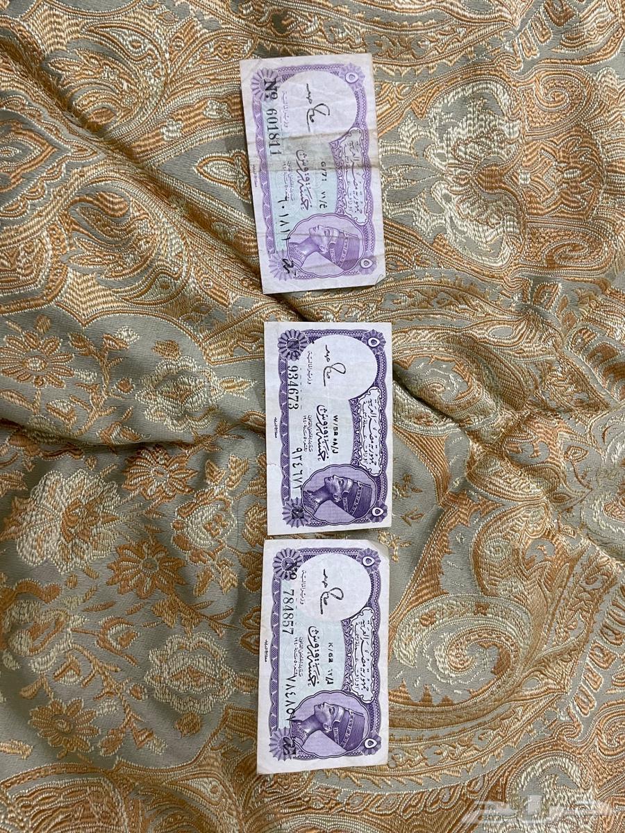 عملات مصرية قديمه و نادره64469585540354114