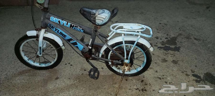 سيكل دراجة أطفال للبيع64471732434179110