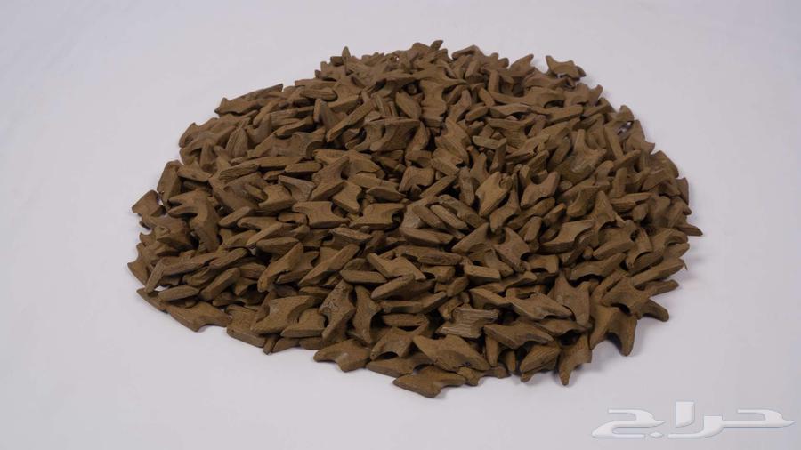 عود تايقر ميني الذهبي64467564112002110