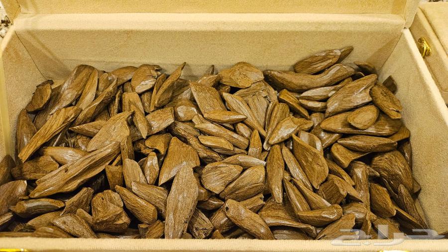 عود موروكي طبيعي محسن64470814311939110