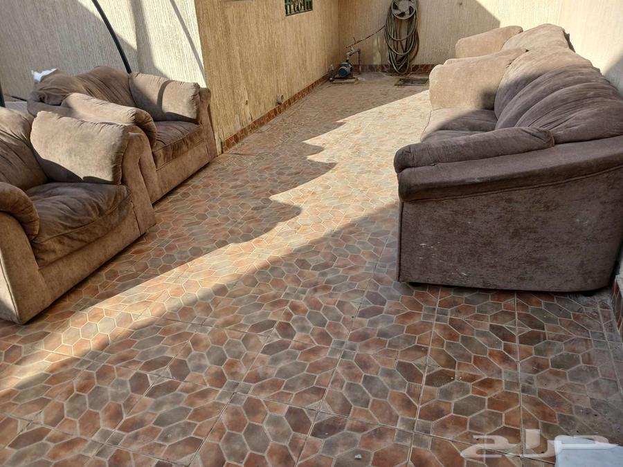 كنب امريكي64465828961409113