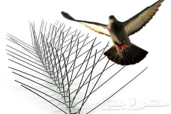 Pigeon Repeller Installation with Spikes and Anti-Pigeon Netting64525524191745114
