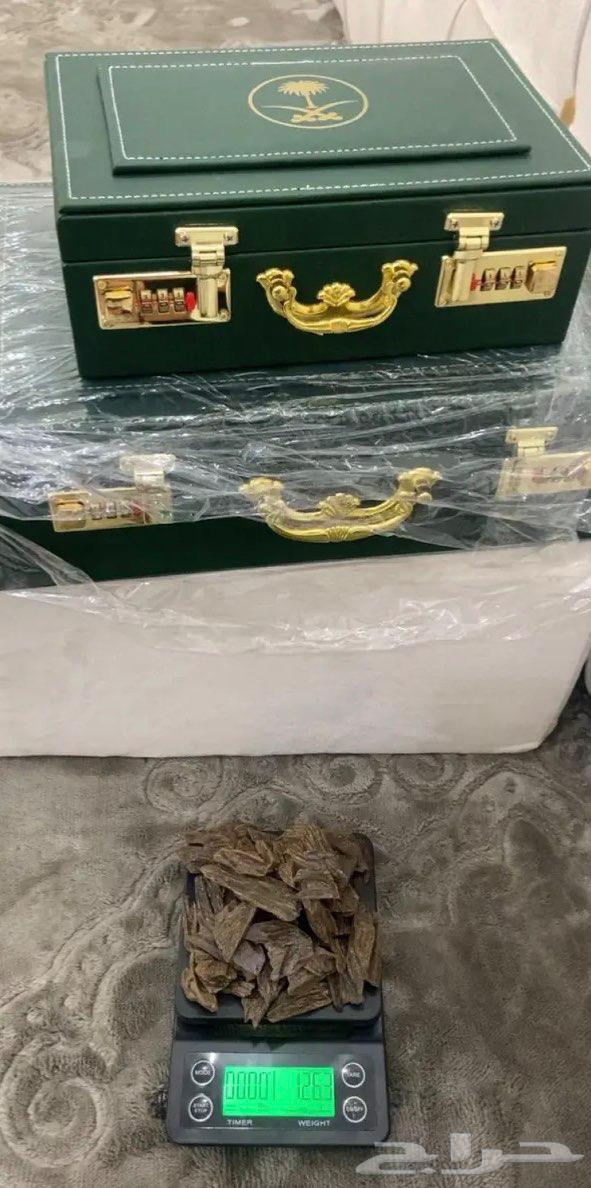 العود الملكي حياكم تبوك 95 ريال64477935850882110