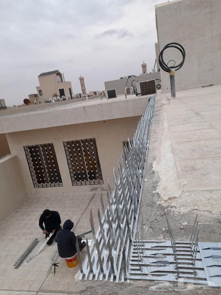 Pigeon Repeller Installation with Spikes and Anti-Pigeon Netting64525524191745113