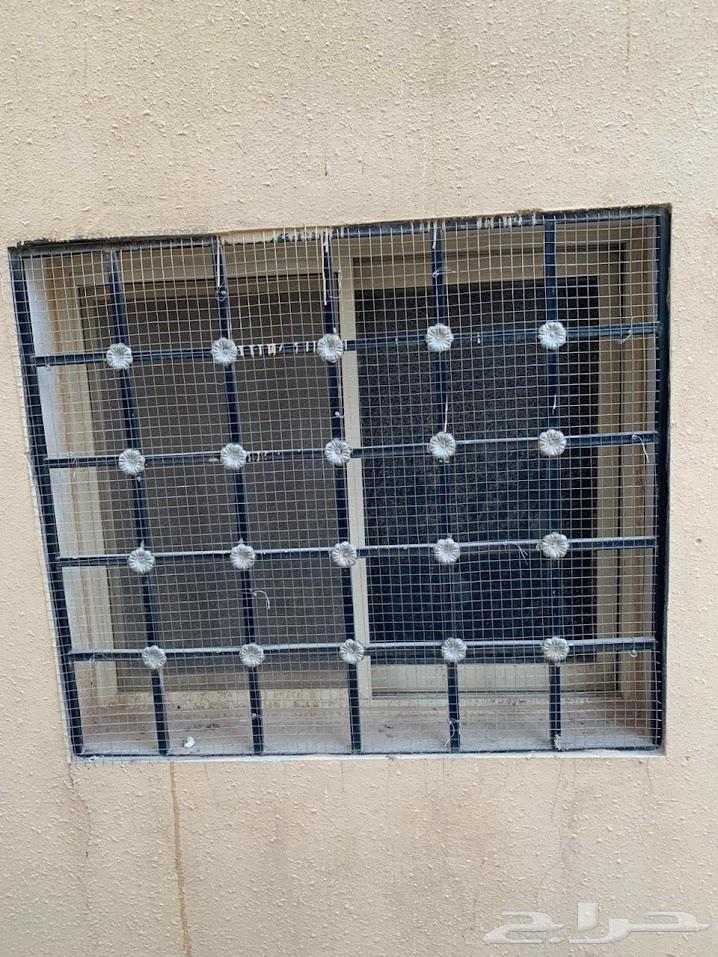 Pigeon Repeller Installation with Spikes and Anti-Pigeon Netting64525524191745110