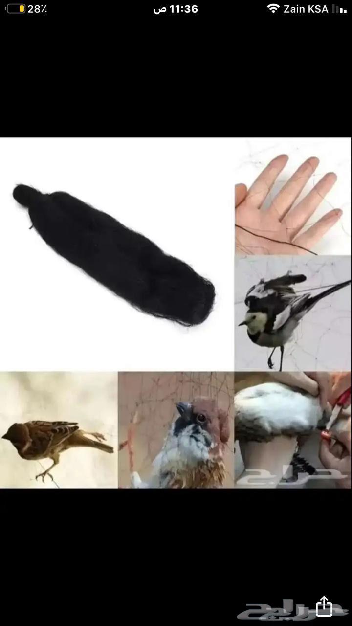 شبكة صيد هوائية64473997562497110