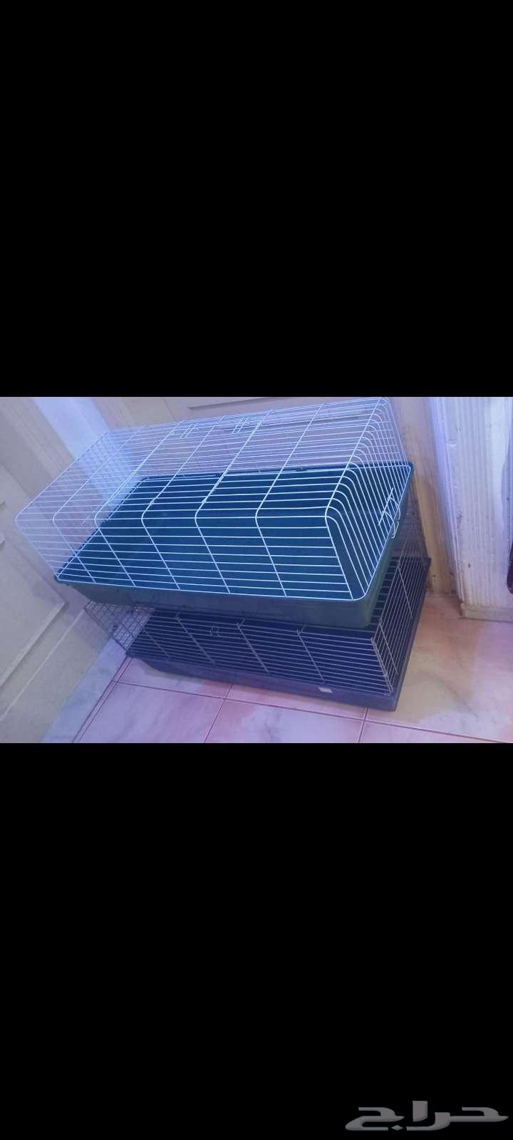 قفص قطط كبير64476129367298111