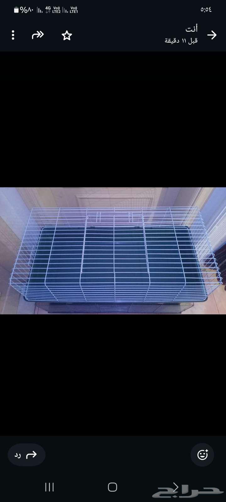 قفص قطط كبير64476129367298110