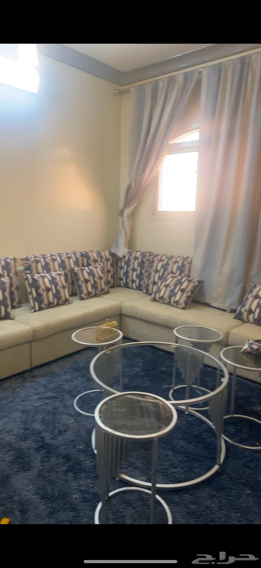 Sofa, curtains, and carpet64478018116995111