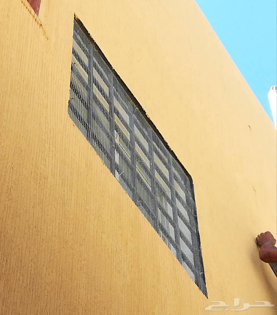 Pigeon Repeller Installation with Spikes and Anti-Pigeon Netting64525524191745111