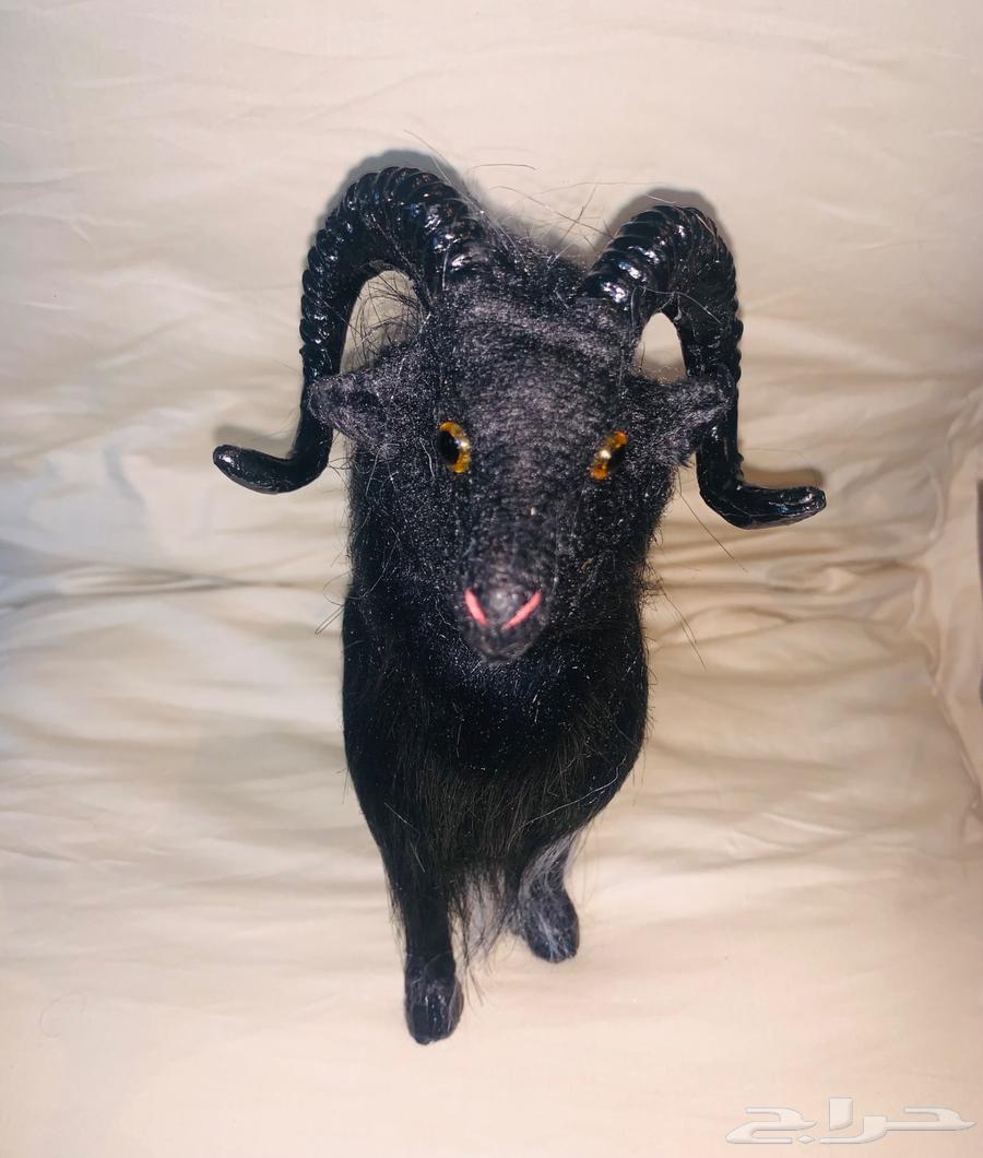 أطقم هدياء و مجسم خروف64473037096963114