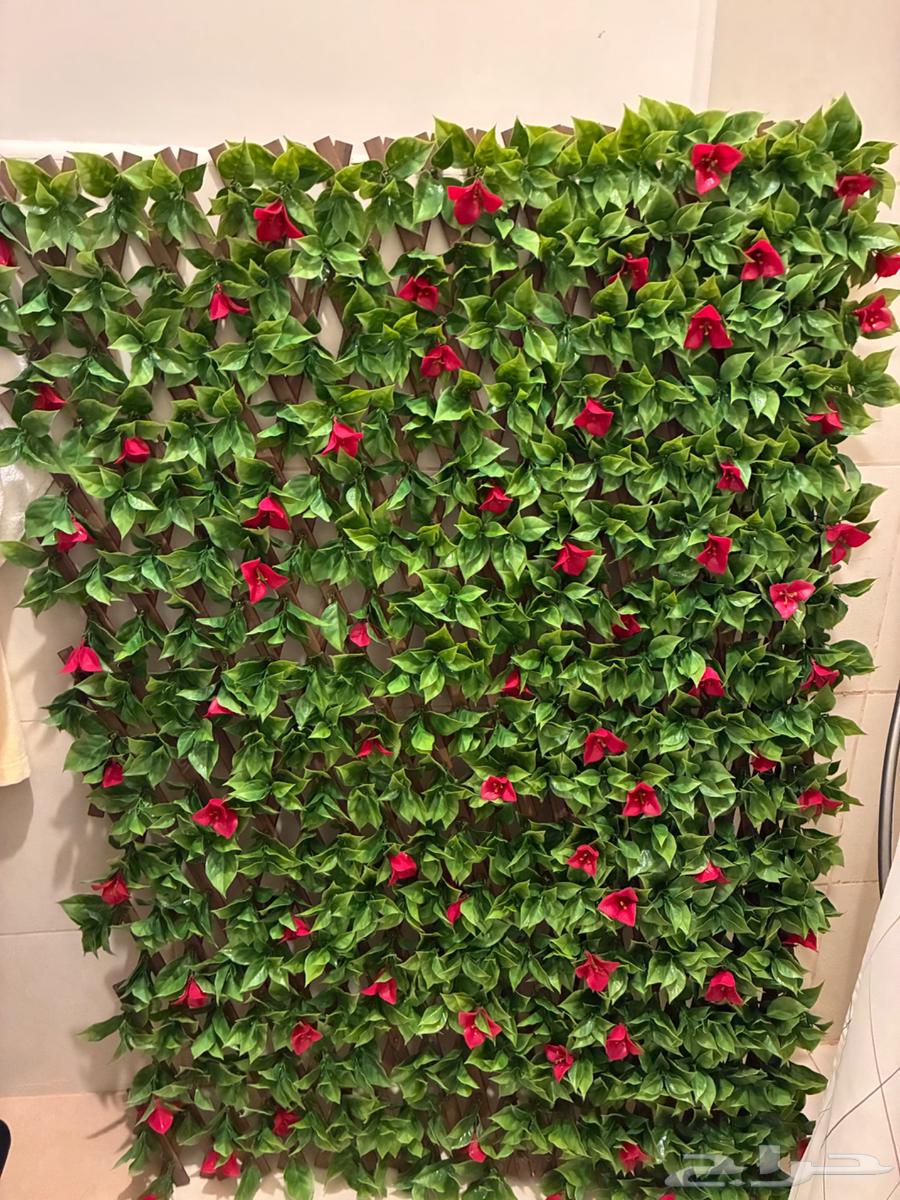 زرع صناعي جميل وفخم عدد 2 فقط ب10064474945570305110