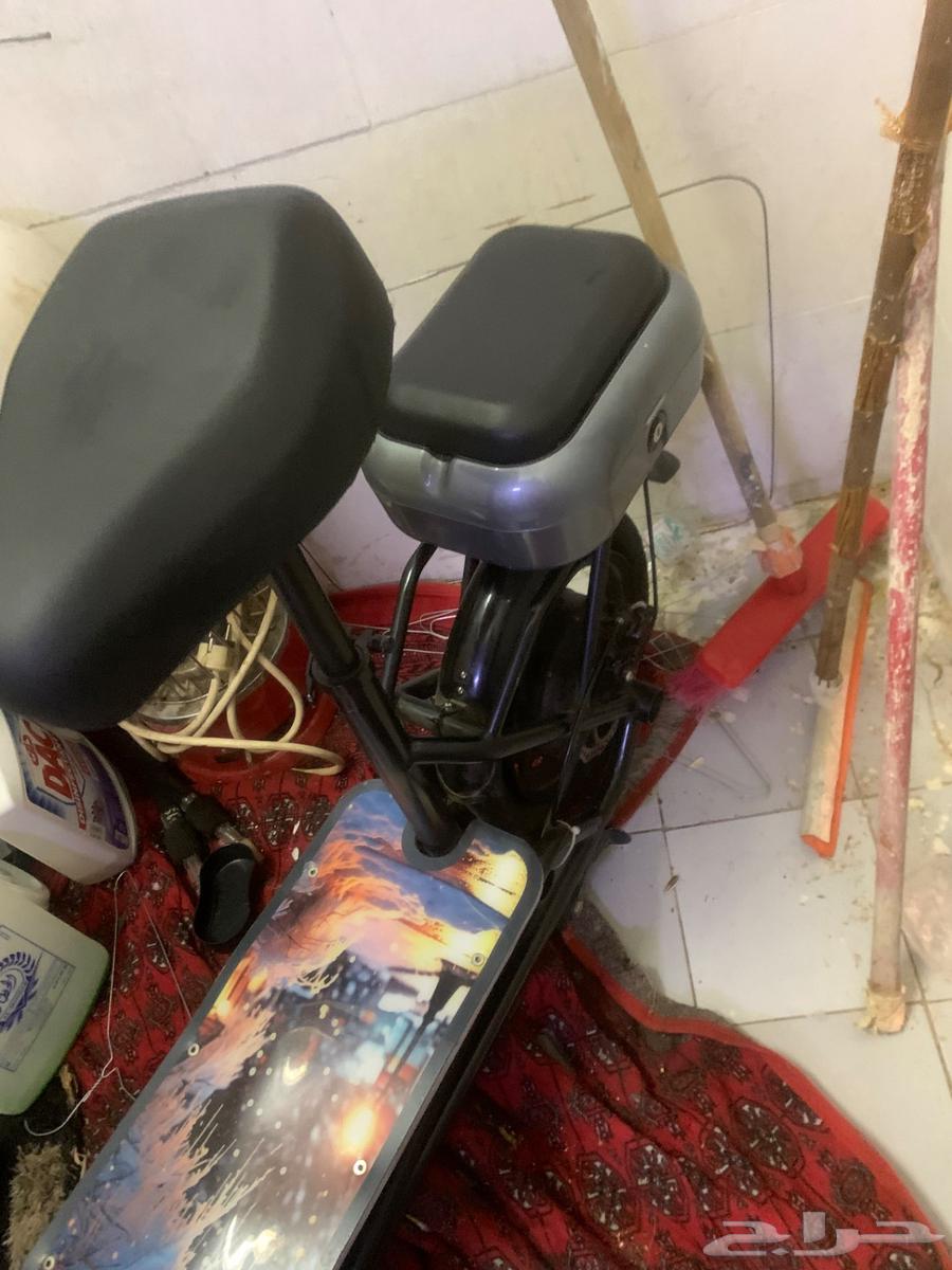 سكوتر الدب الروسي64475763843843113