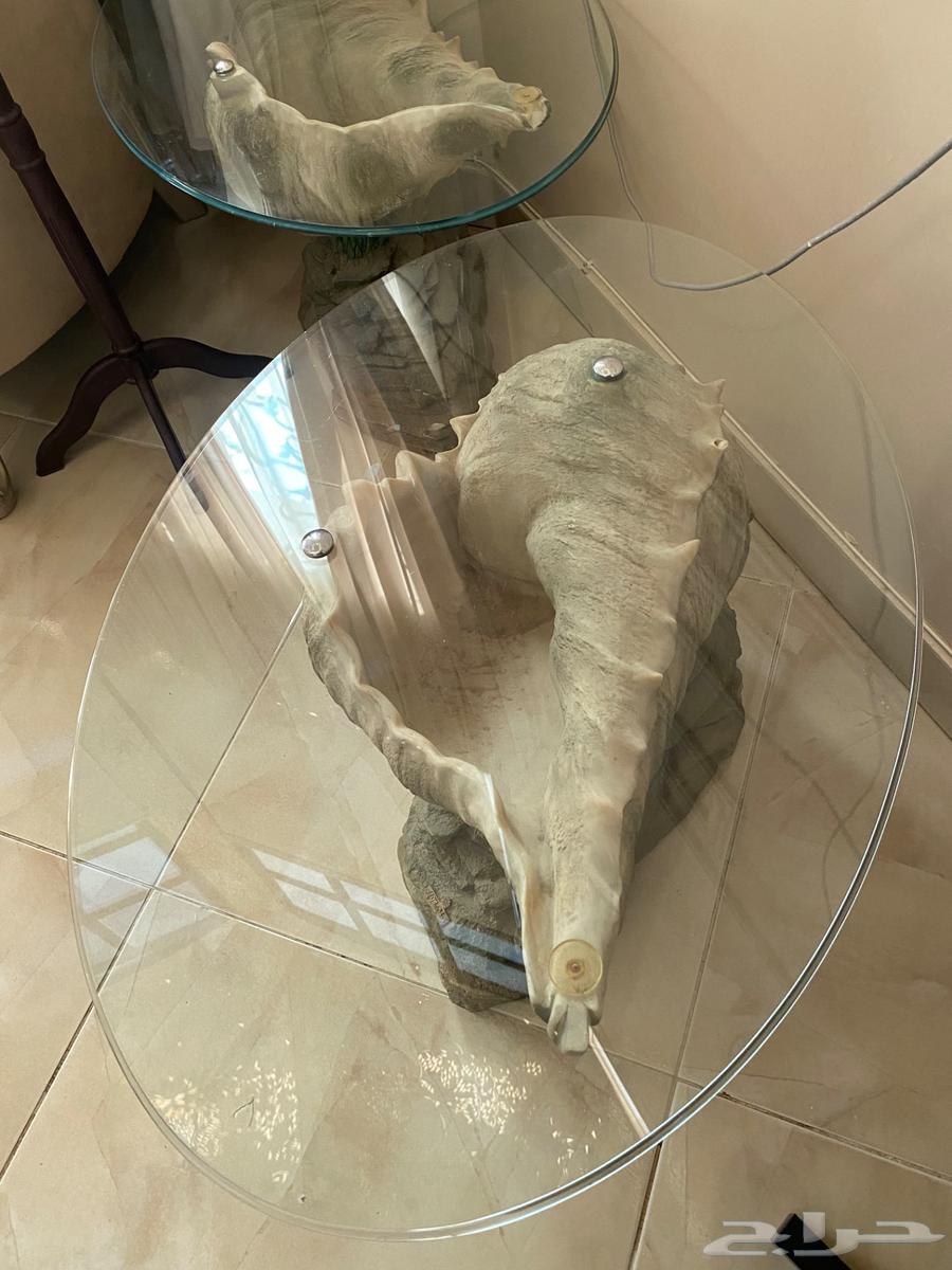 طاوله وغساله للبيع64476086263809112