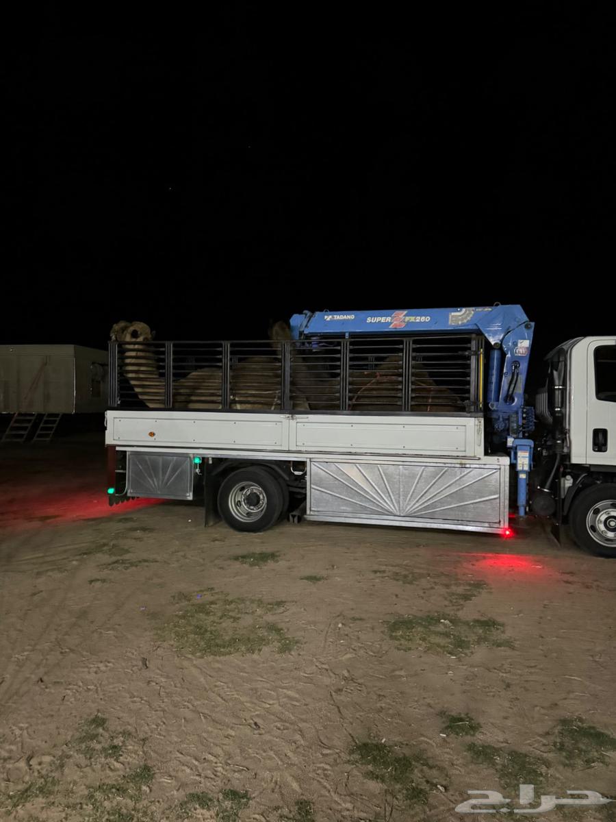 ونش دينه دينا64380154266882111