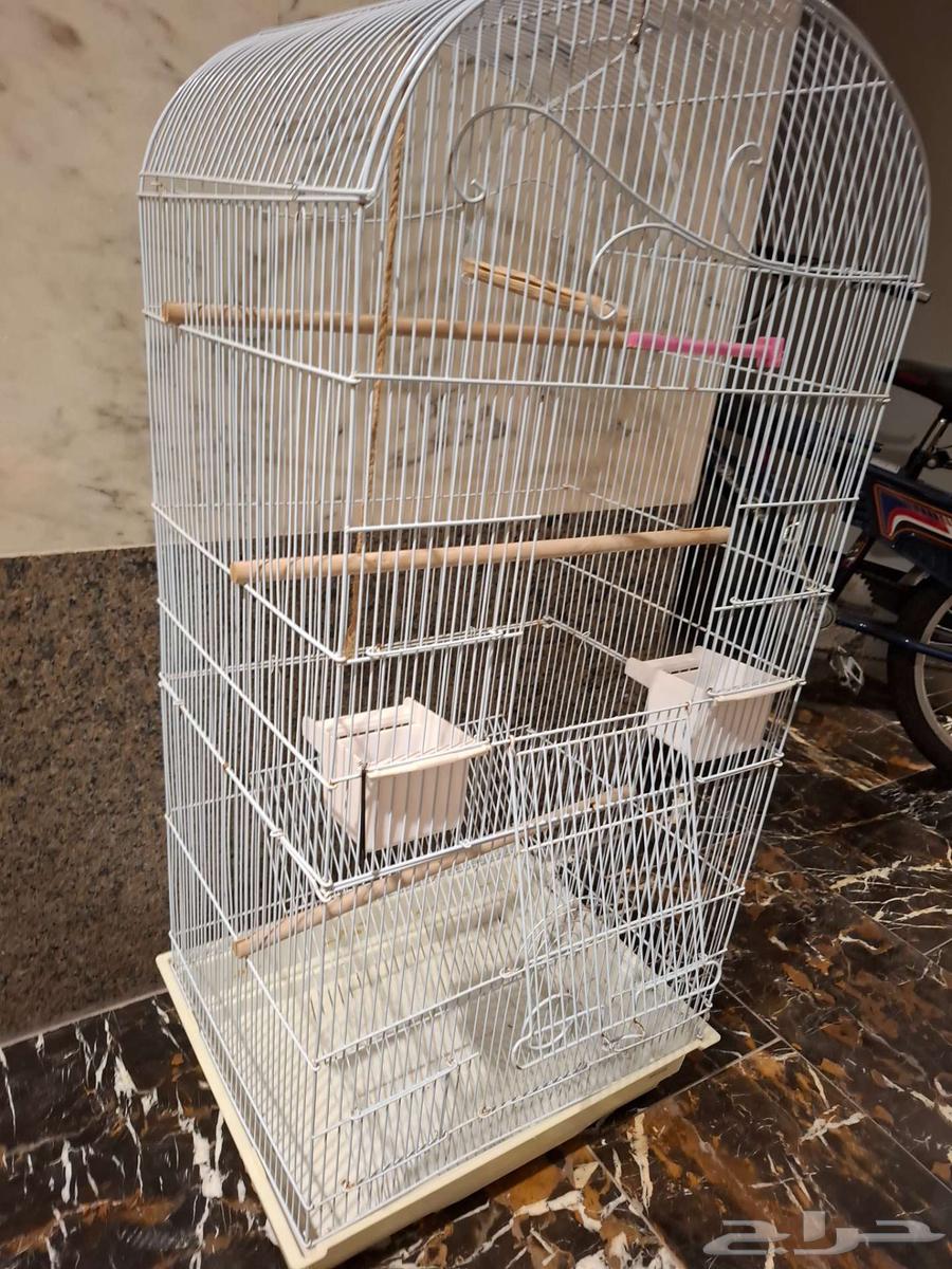 قفص طيور كبير64476503032834110