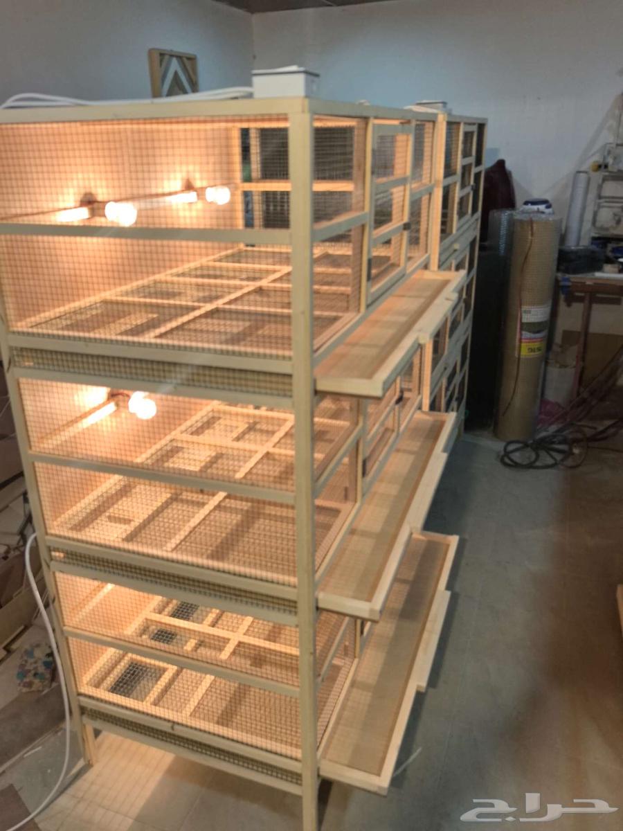 3-tier poultry brooder production incubator64477394351362114