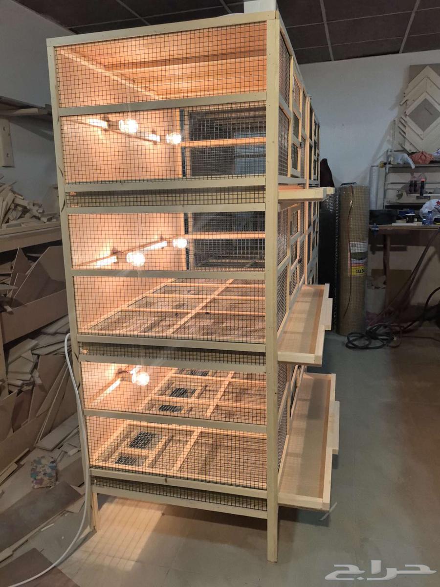 3-tier poultry brooder production incubator64477394351362113