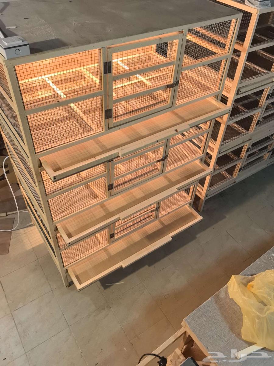 3-tier poultry brooder production incubator64477394351362112