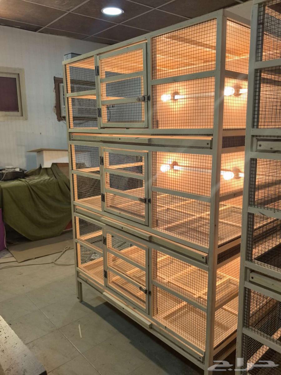 3-tier poultry brooder production incubator64477394351362111