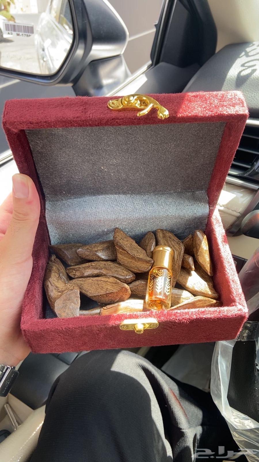 العود الملكي حياكم تبوك 95 ريال64477935850882113