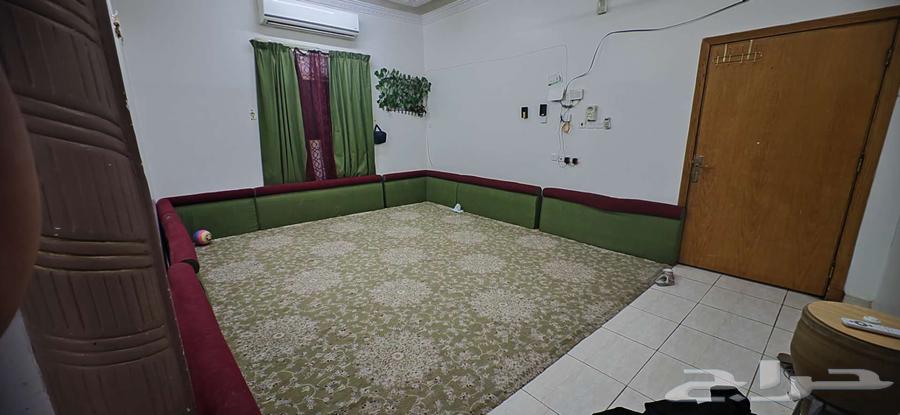 Cushions and carpet and star64477296970499113