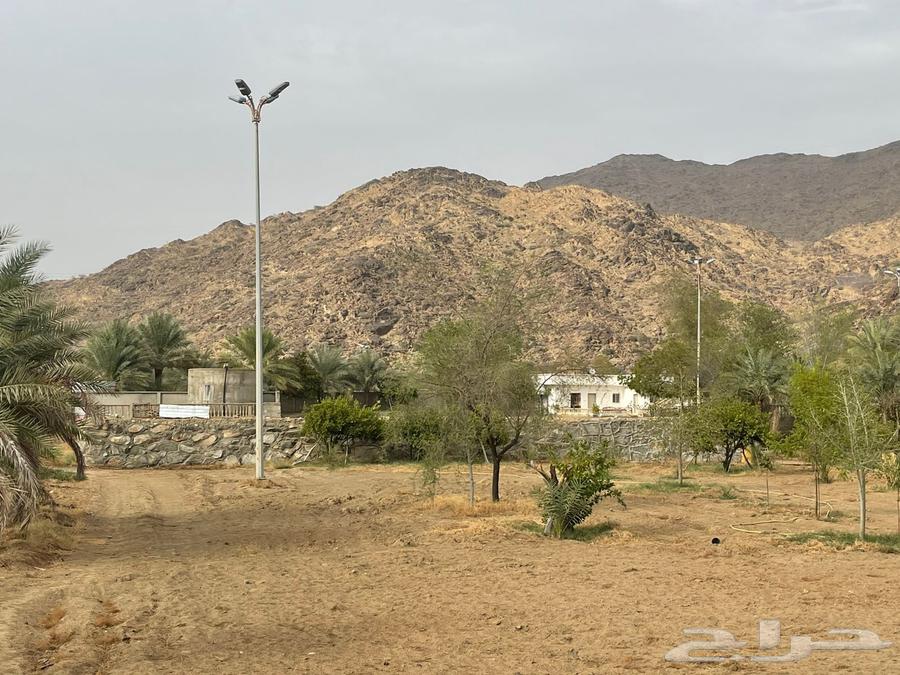 مزرعة للبيع