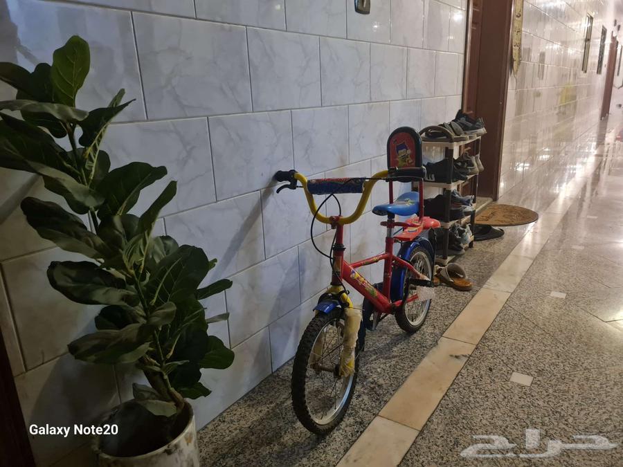 دراجه اطفال مقاس 1664477185594883110