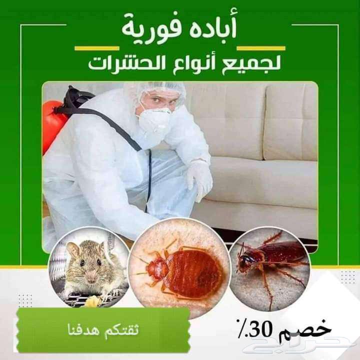 مكافحة حشرات بجده رش مبيدات مكافحه البق النمل الابيض بجدة64150581313409110
