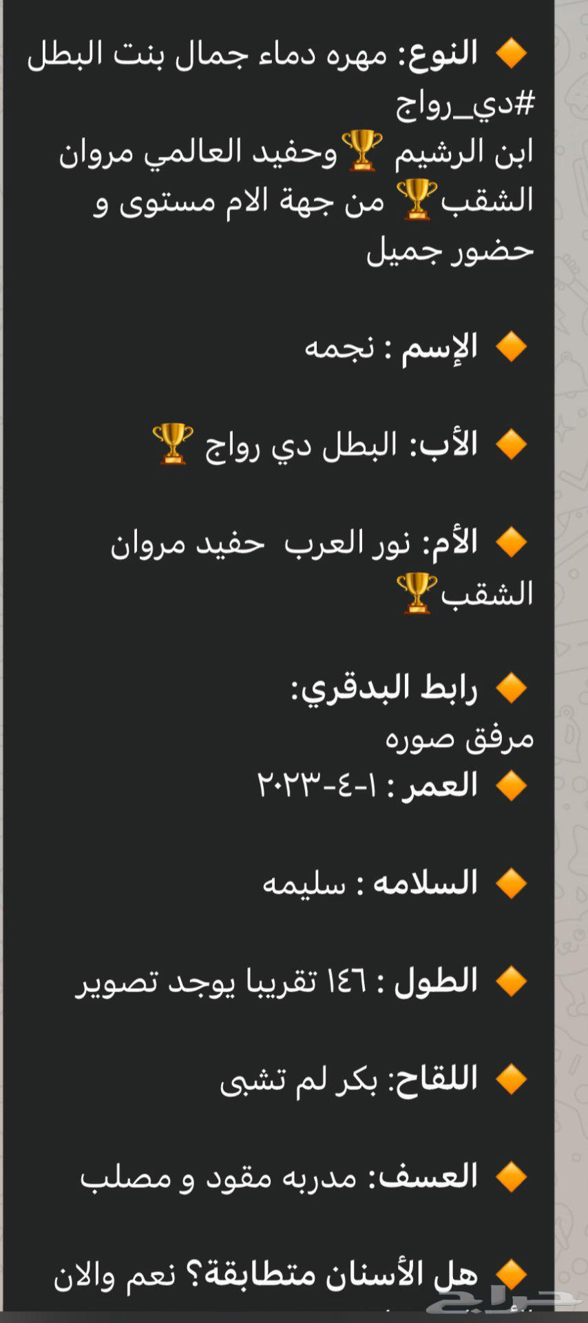 فرصه مهره فاخره مهره واهو بنت البطل المعروف دي رواج64479729449602110