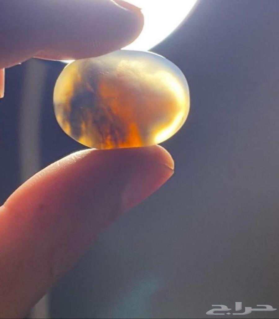 Carnelian with a lion's head image.64484827627393111