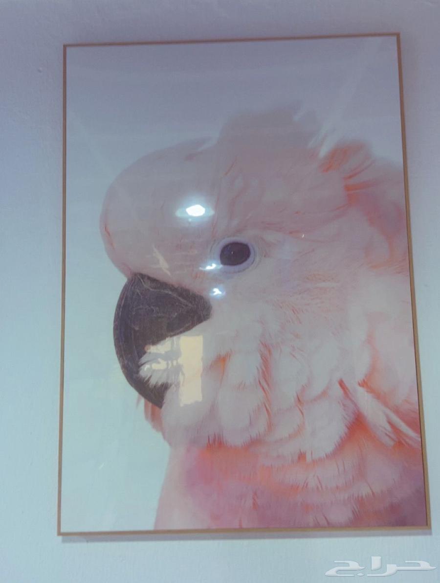 لوحه وشلال للبيع64482403723137112