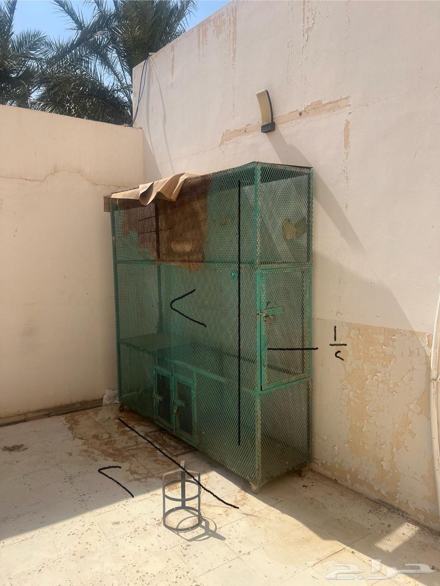 Bird net for sale64481640839811110