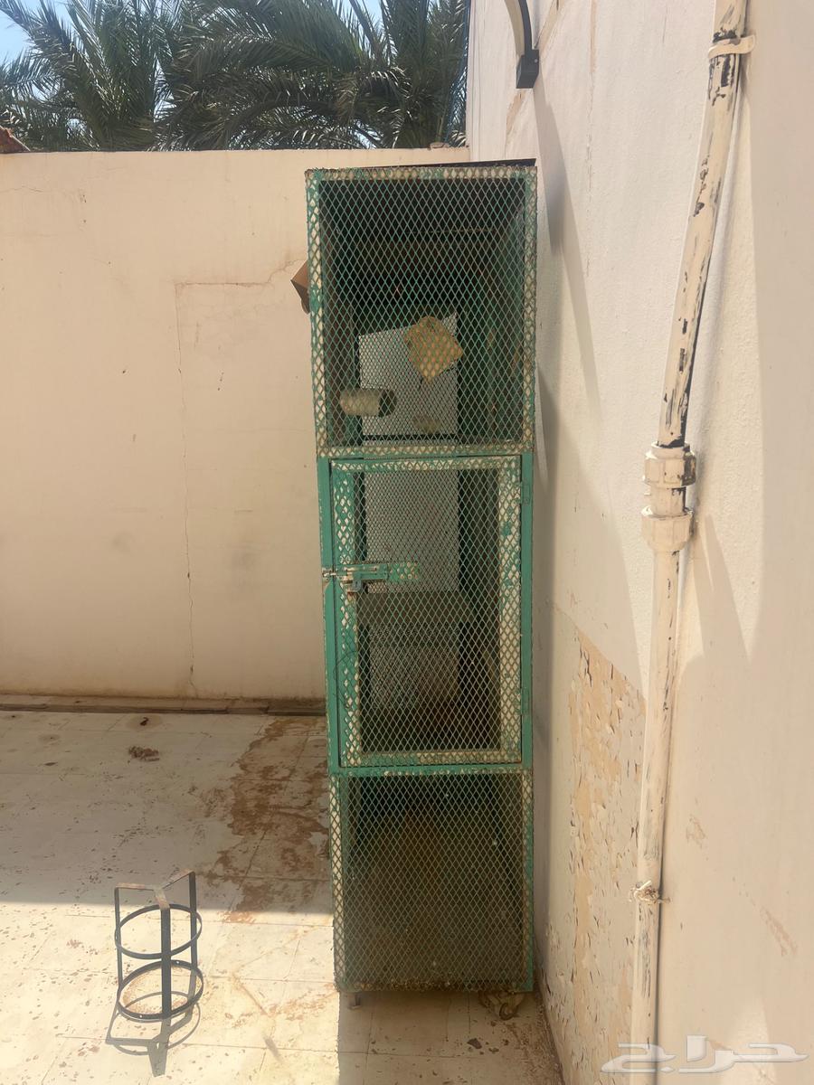 Bird net for sale64481640839811112