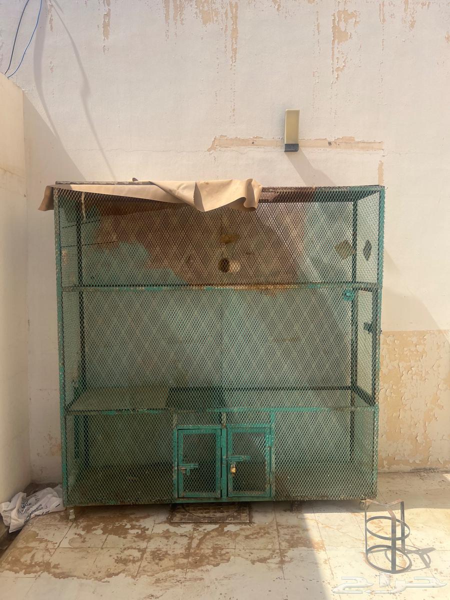 Bird net for sale64481640839811111