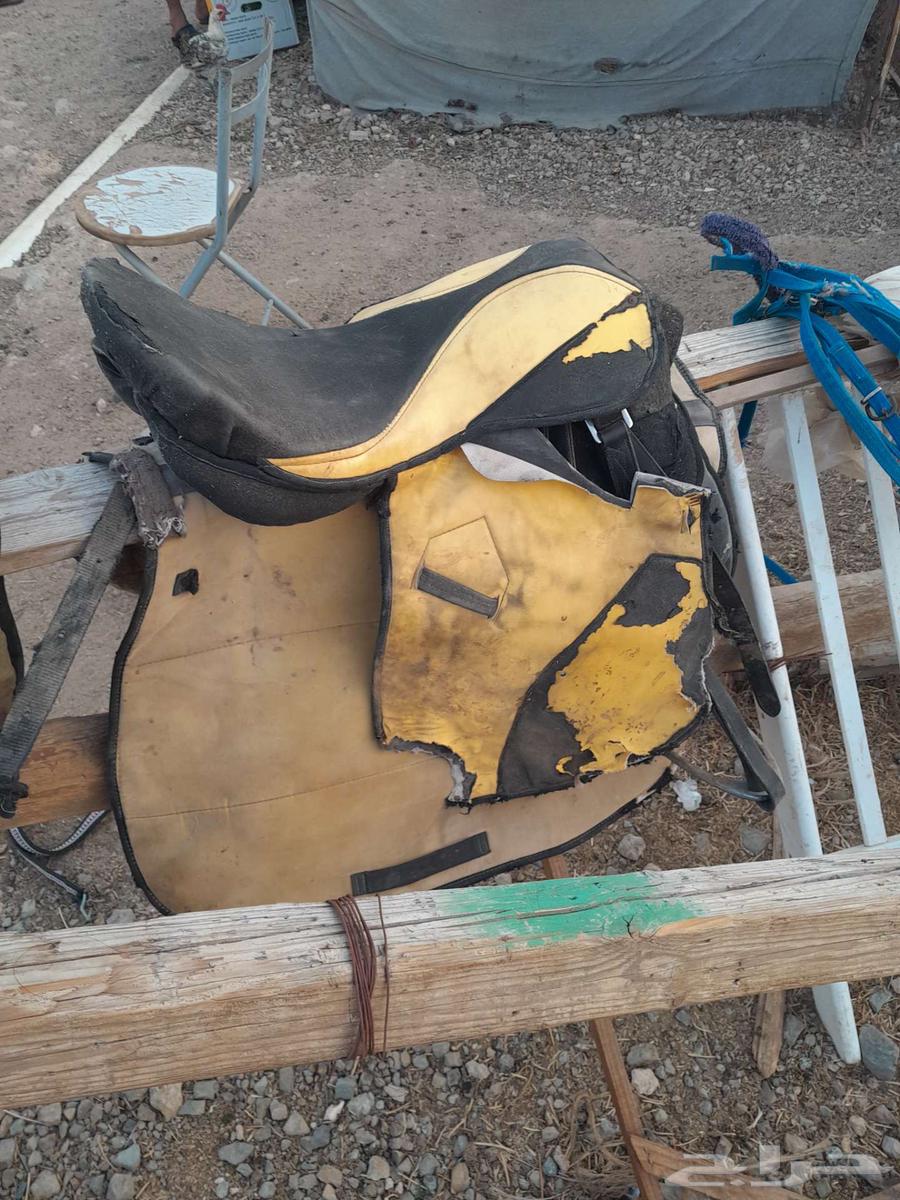 للبيع عدد 2 سروج كامل مع ركابات64482172835075112