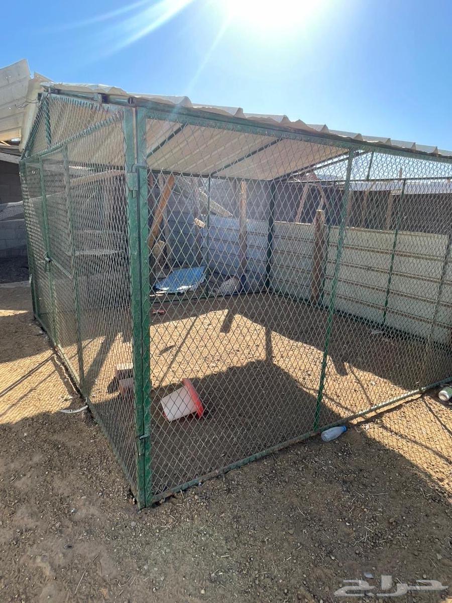 Manual incubator64482363193475111