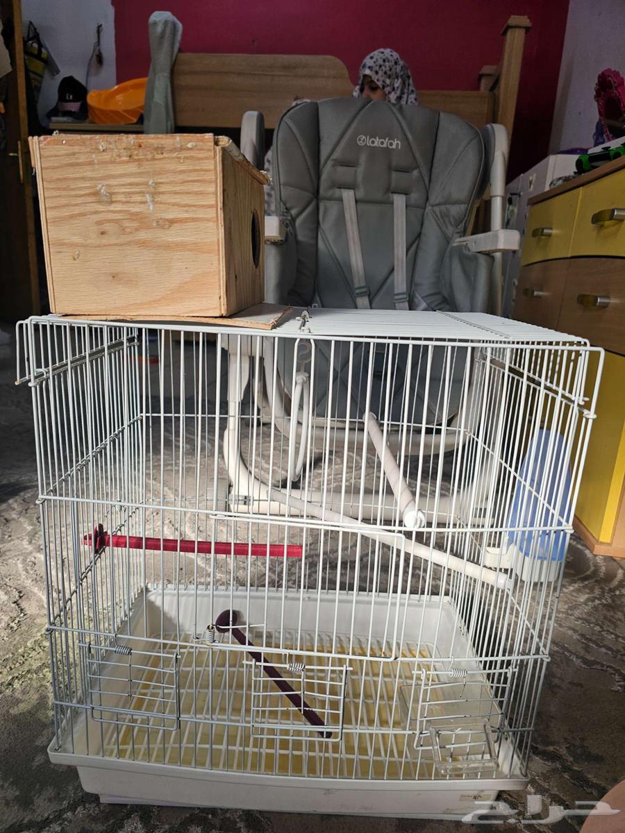 قفص طيور كبير مع ملحقاته64482579686530110