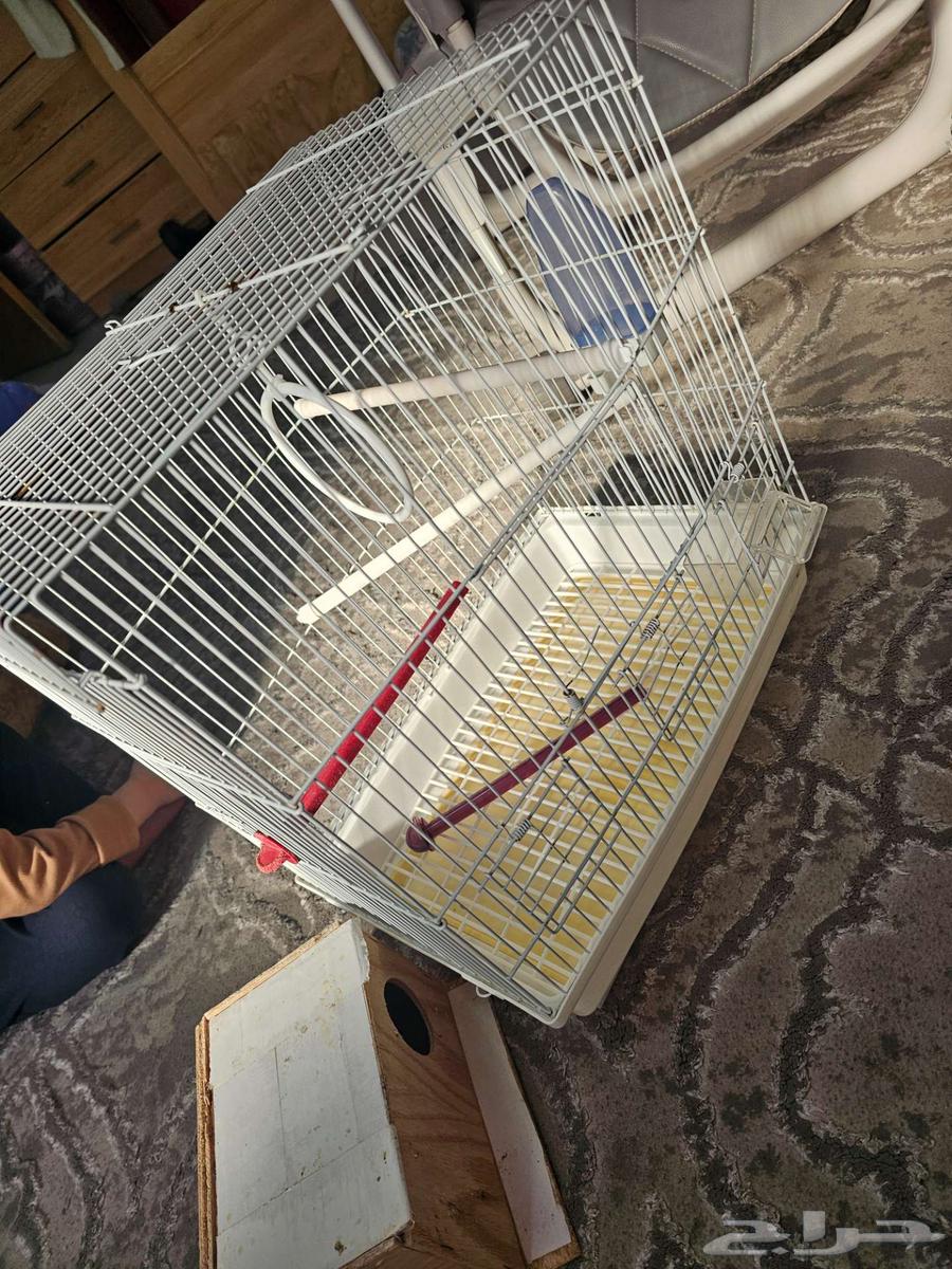 قفص طيور كبير مع ملحقاته64482579686530112