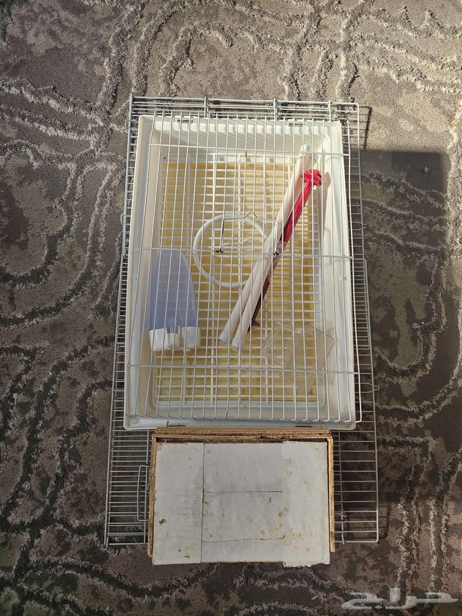 قفص طيور كبير مع ملحقاته64482579686530113