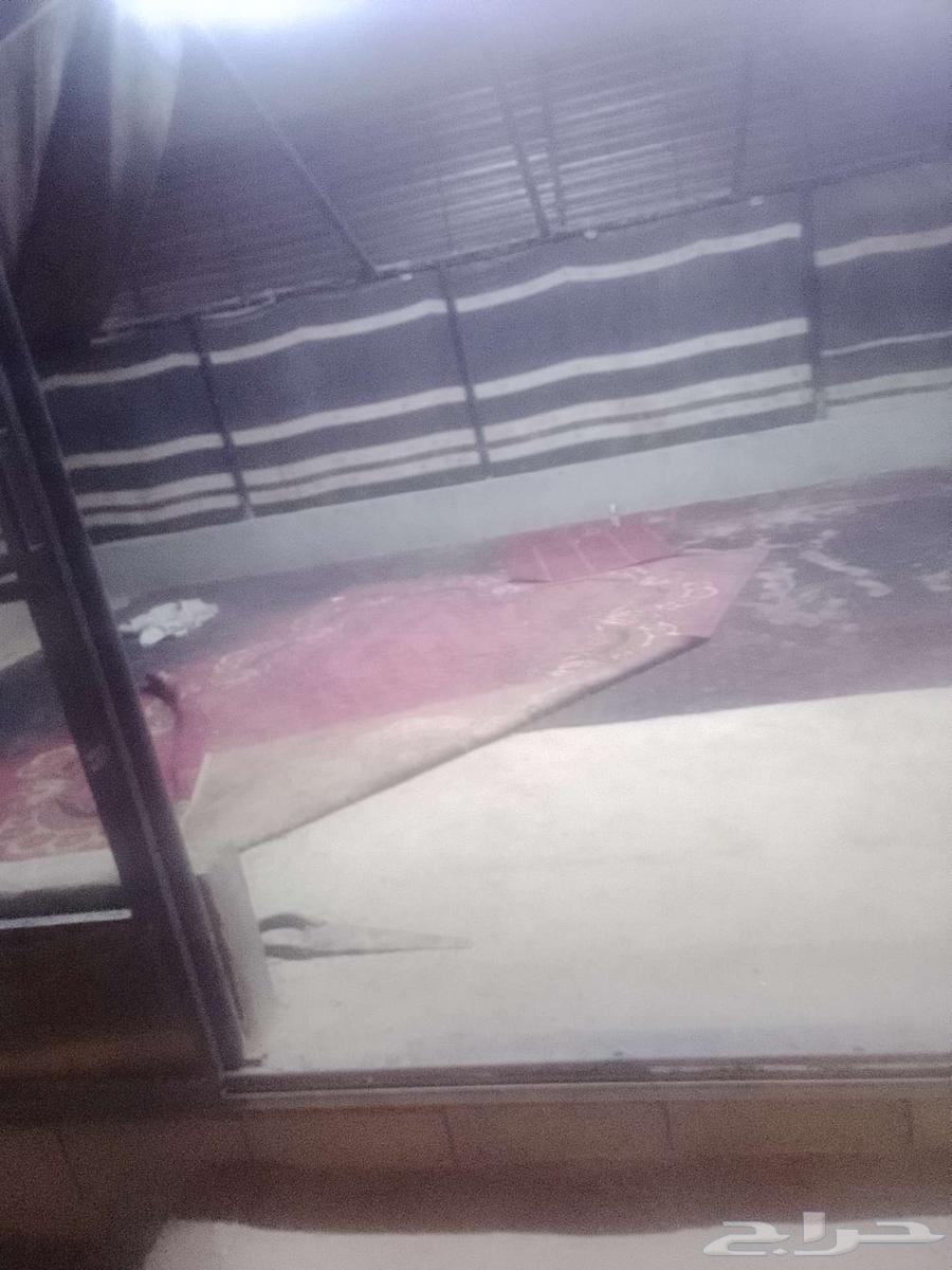 خيمه جديد للبيع64485284182403110