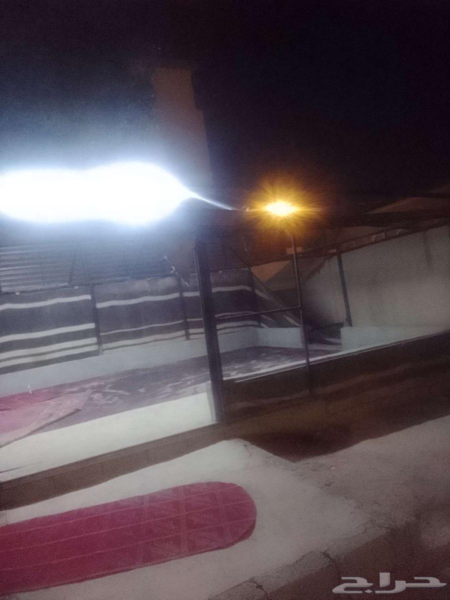 خيمه جديد للبيع64485284182403113