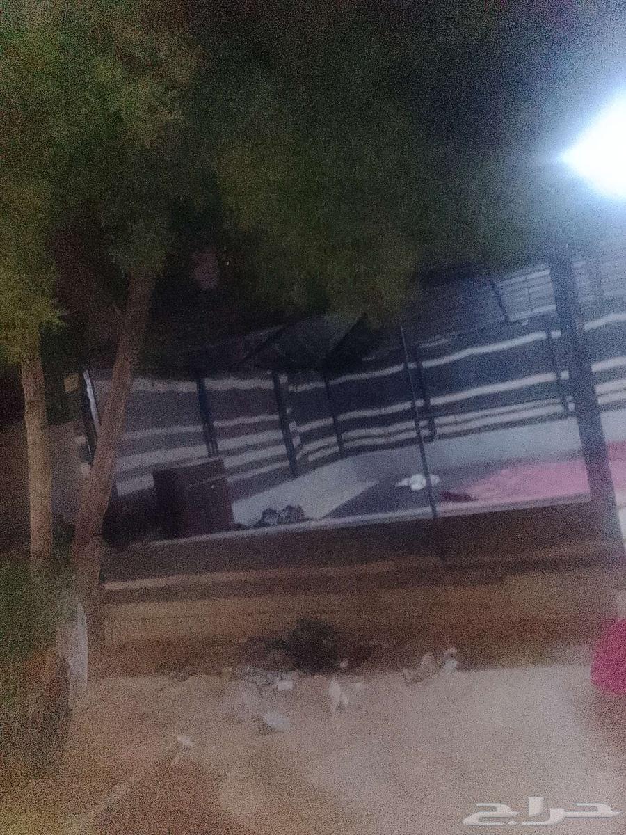خيمه جديد للبيع64485284182403114