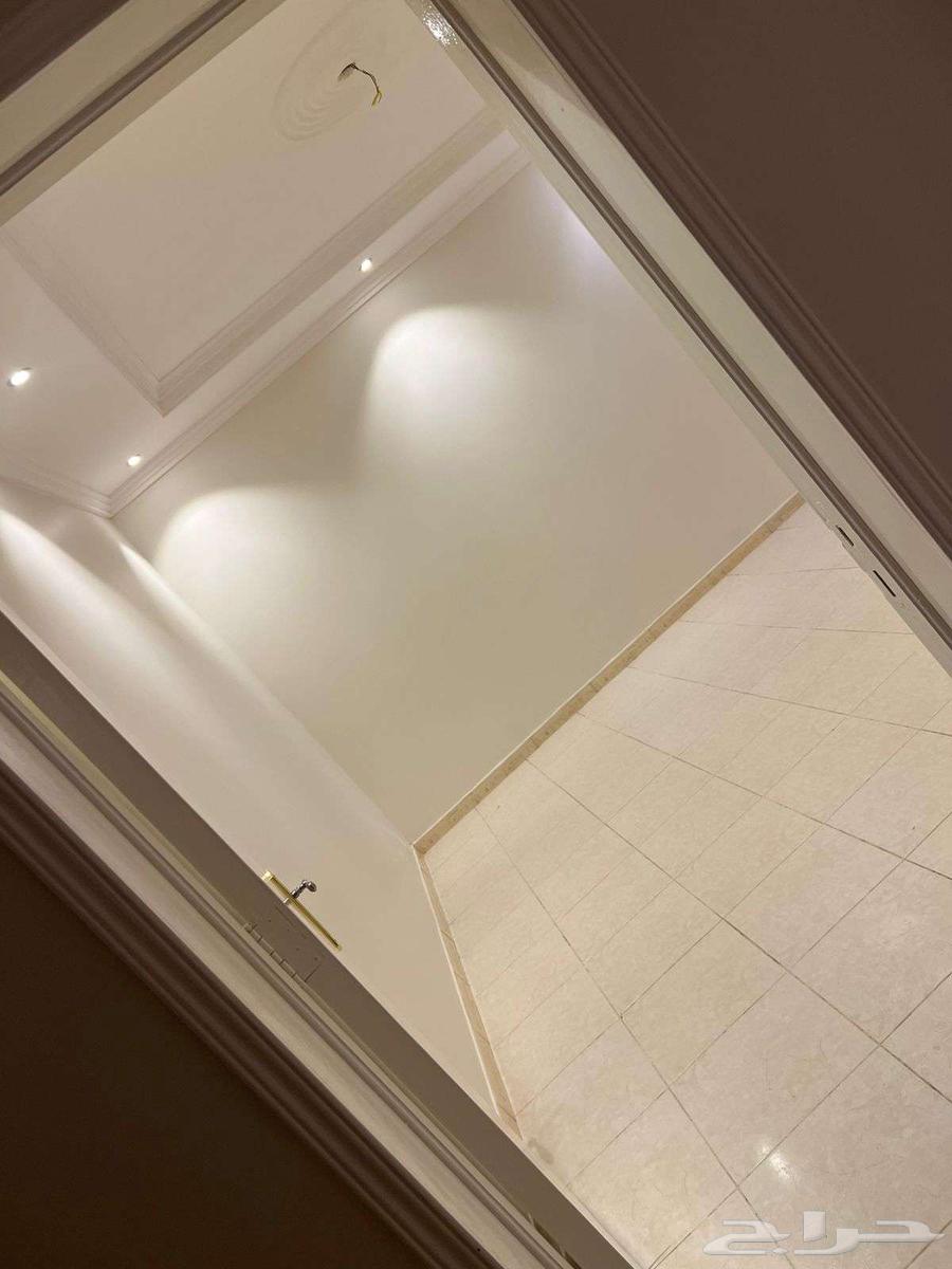 شقه للايجار حي قرطبه مخطط الابراهيم64546082296323113