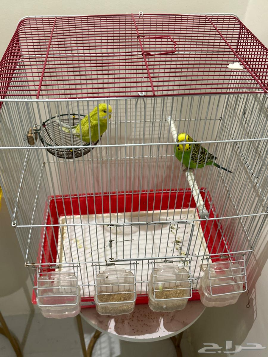 Al-Ahsa64486551949187110