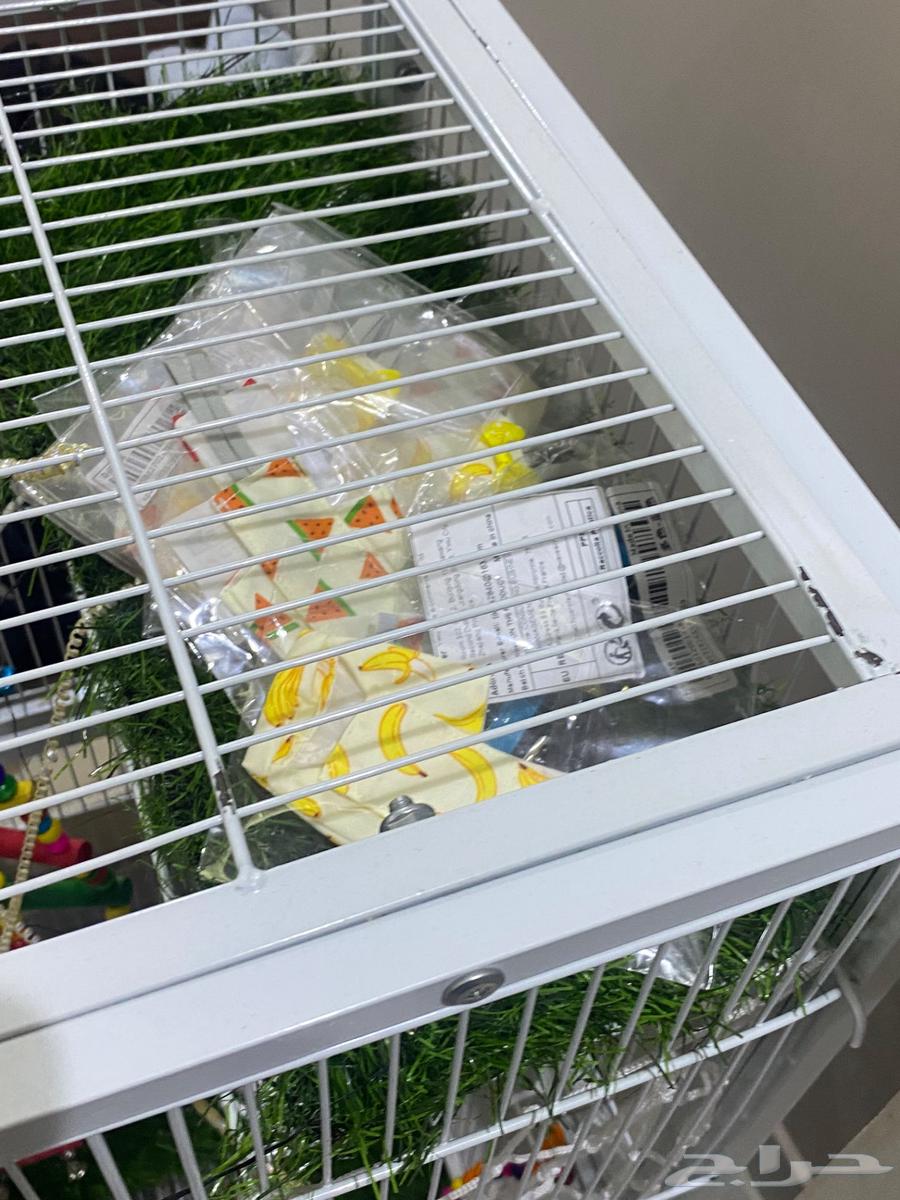 قفص طيور للبيع64487104741377111