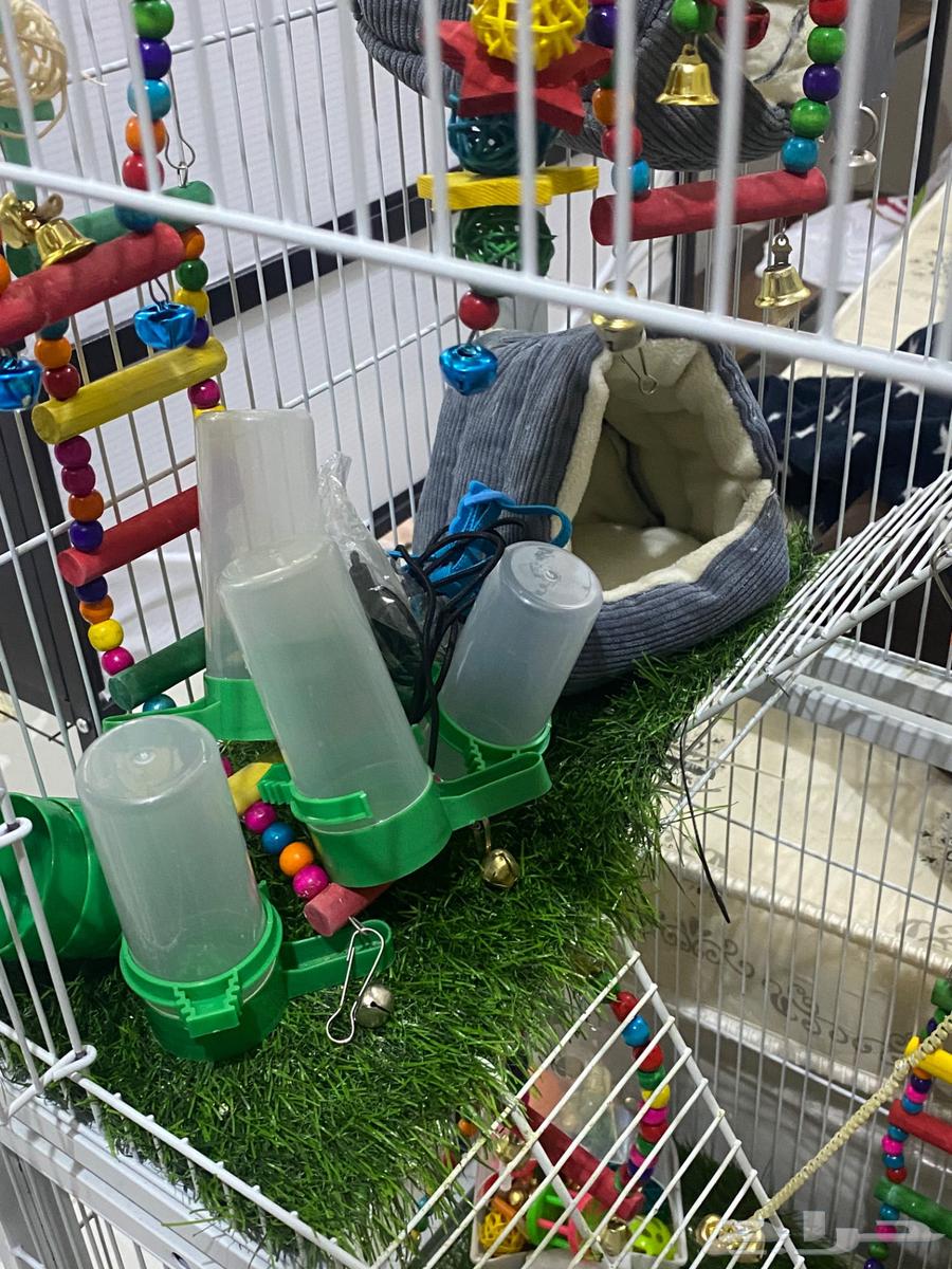 قفص طيور للبيع64487104741377110