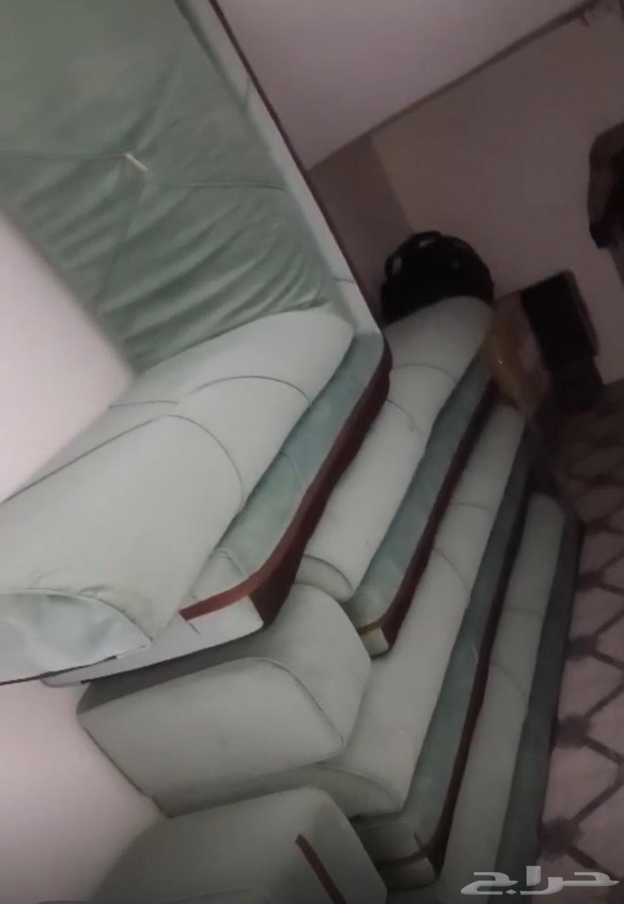 مساند ظهر للبيع بتبوك64485861258114110