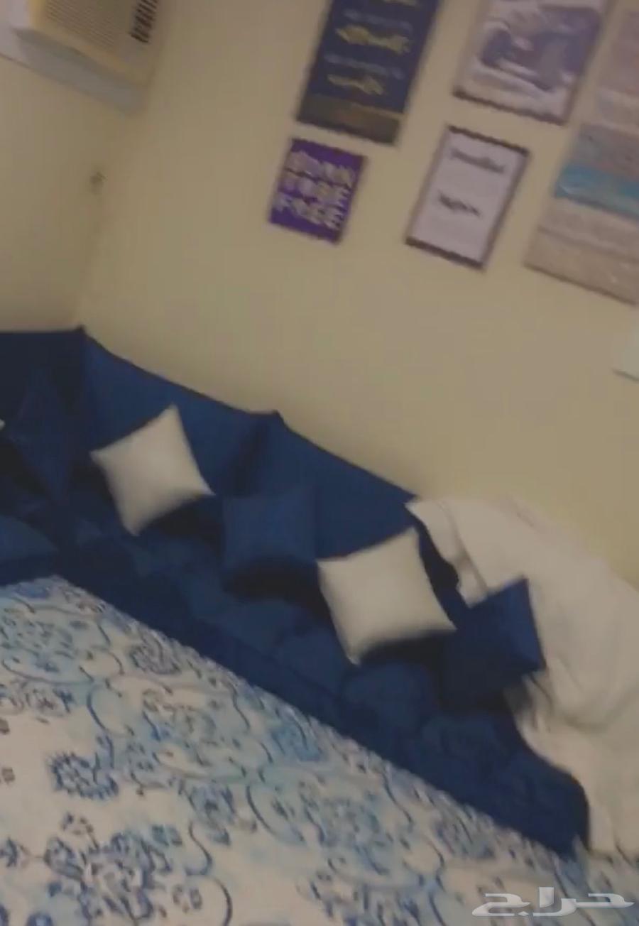 ضاحية الجبيل64482674138369111